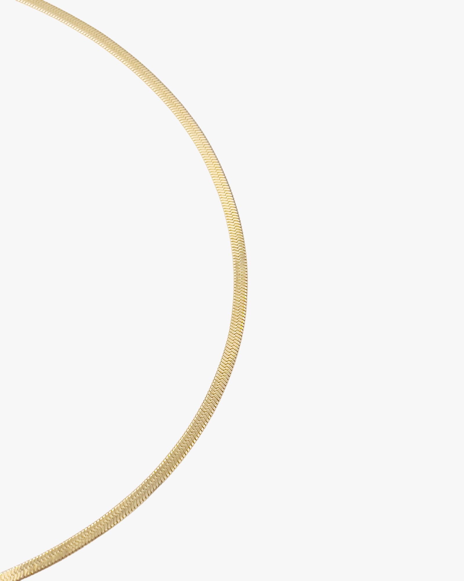 Extended Stay Y Necklace Gold
